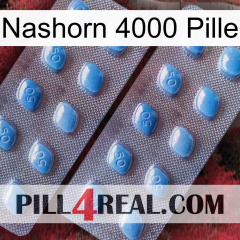 Rhino 4000 Pill viagra4